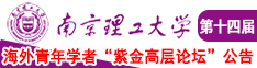 抽插小穴免费视频南京理工大学第十四届海外青年学者紫金论坛诚邀海内外英才！